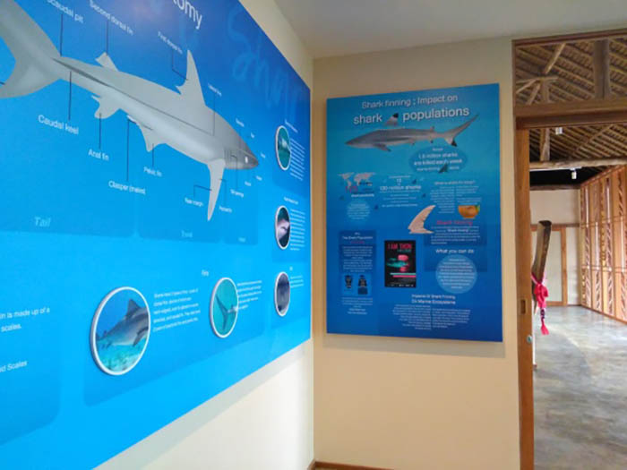 Information board in the shark zone
